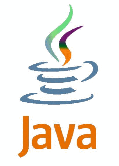 Java���̎�